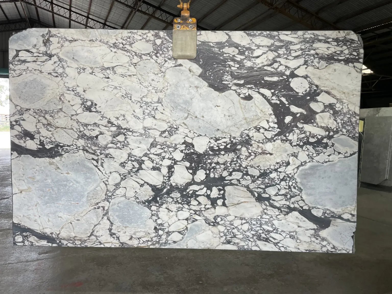Calacatta Viola Honed Marble - KH