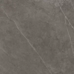 Pietra Grey Matt Porcelain