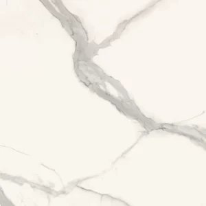 Statuario Altissimo Naturali Matt Porcelain